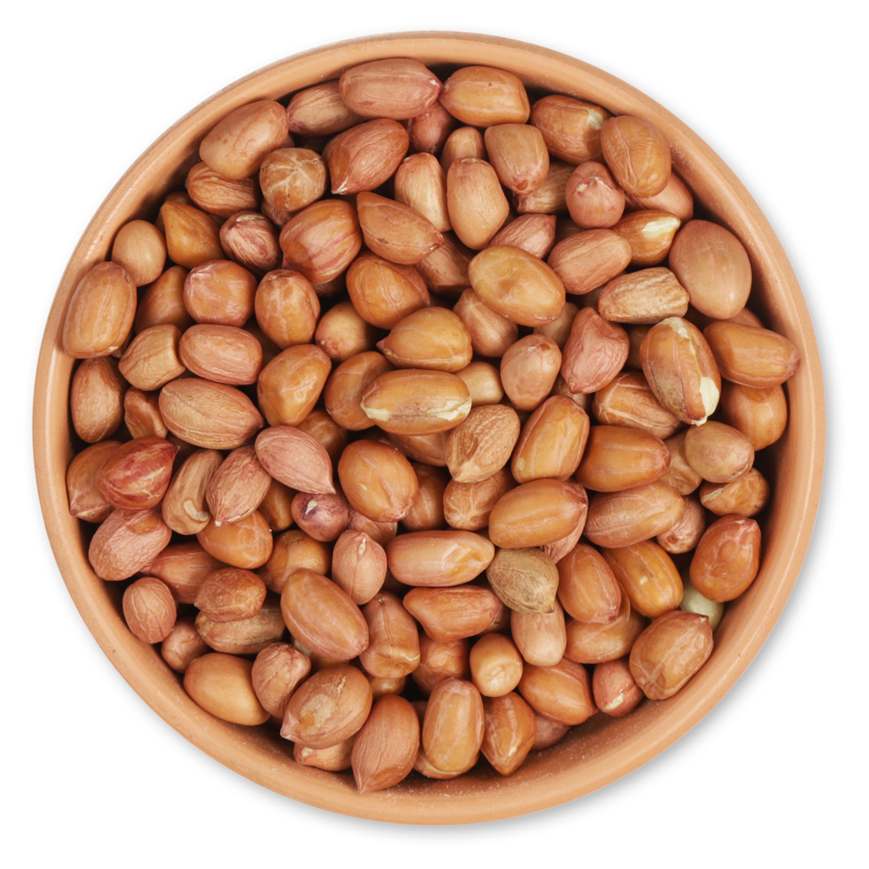 Vivara Kids Erdnüsse für Meisen und Spechte | Vogelfutter